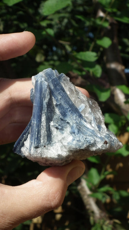 raw blue kyanite / large blue kyanite