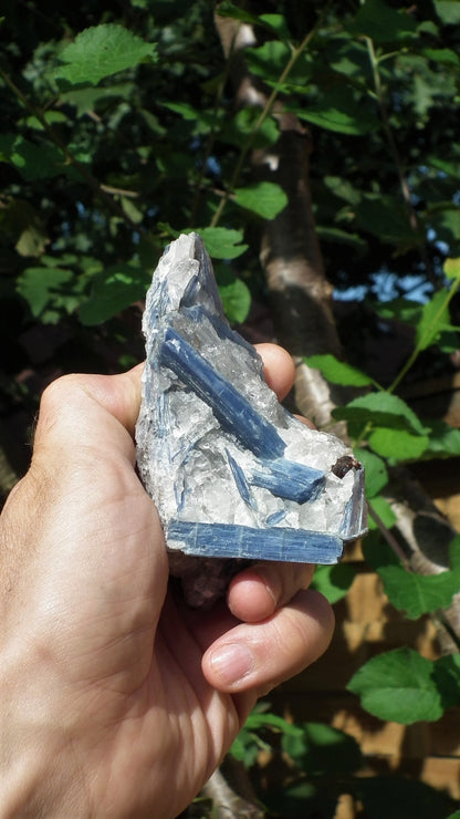 raw blue kyanite / large blue kyanite