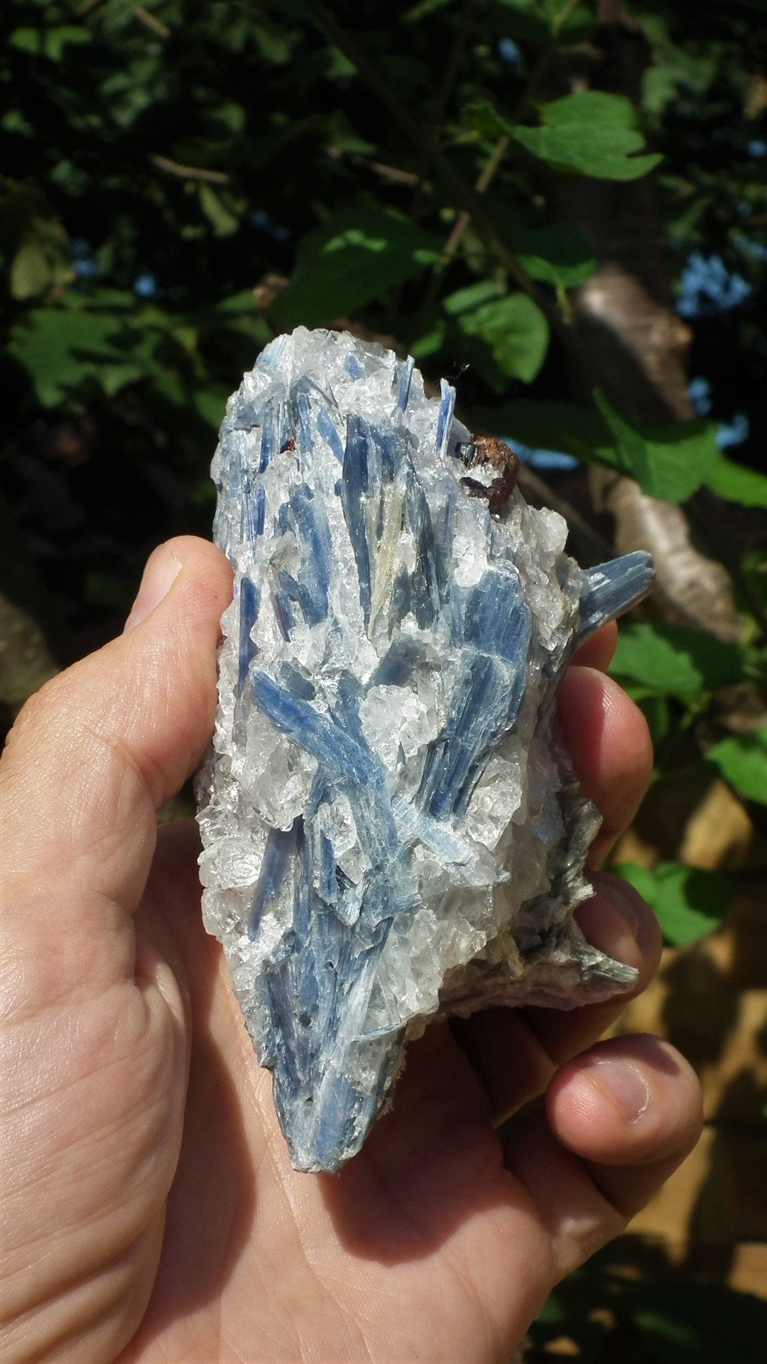 raw blue kyanite / large blue kyanite