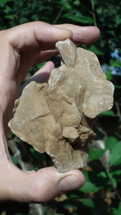 Desert rose crystal