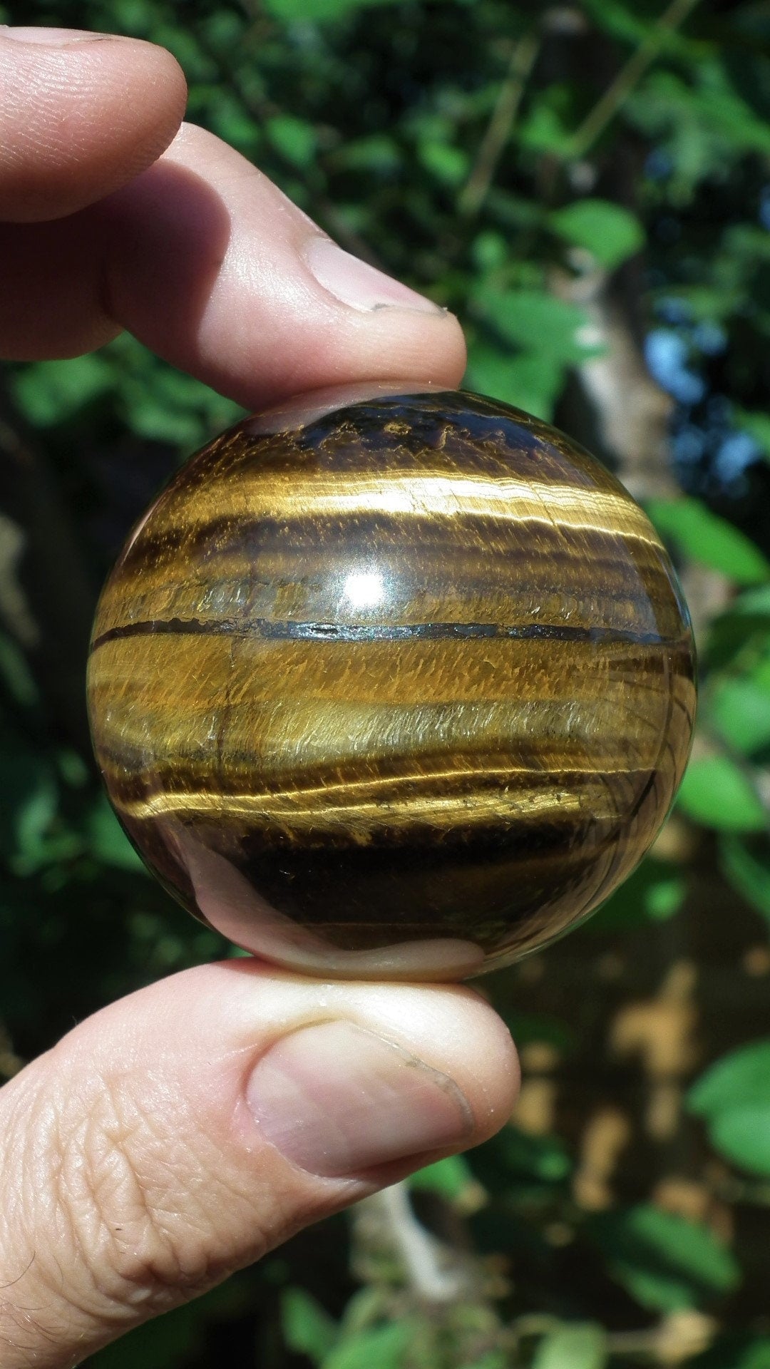 49mm Tiger eye sphere / ball / orb