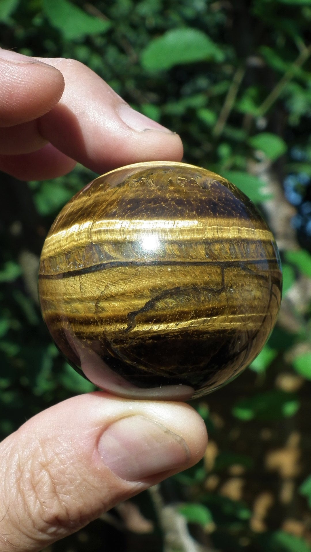 49mm Tiger eye sphere / ball / orb