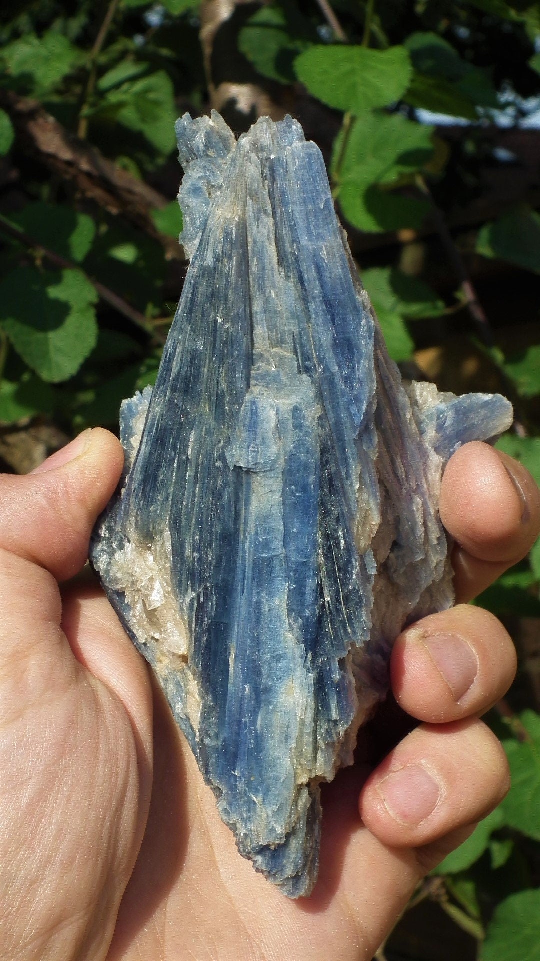 raw blue kyanite / large blue kyanite