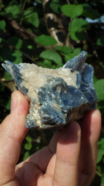 raw blue kyanite / large blue kyanite