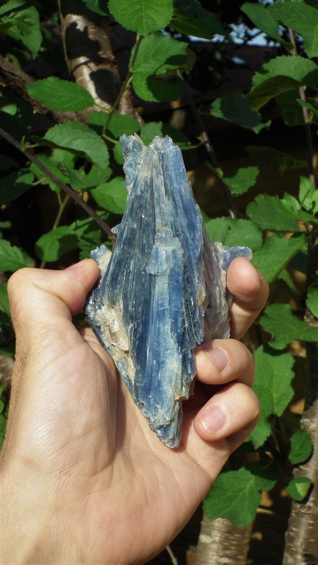 raw blue kyanite / large blue kyanite