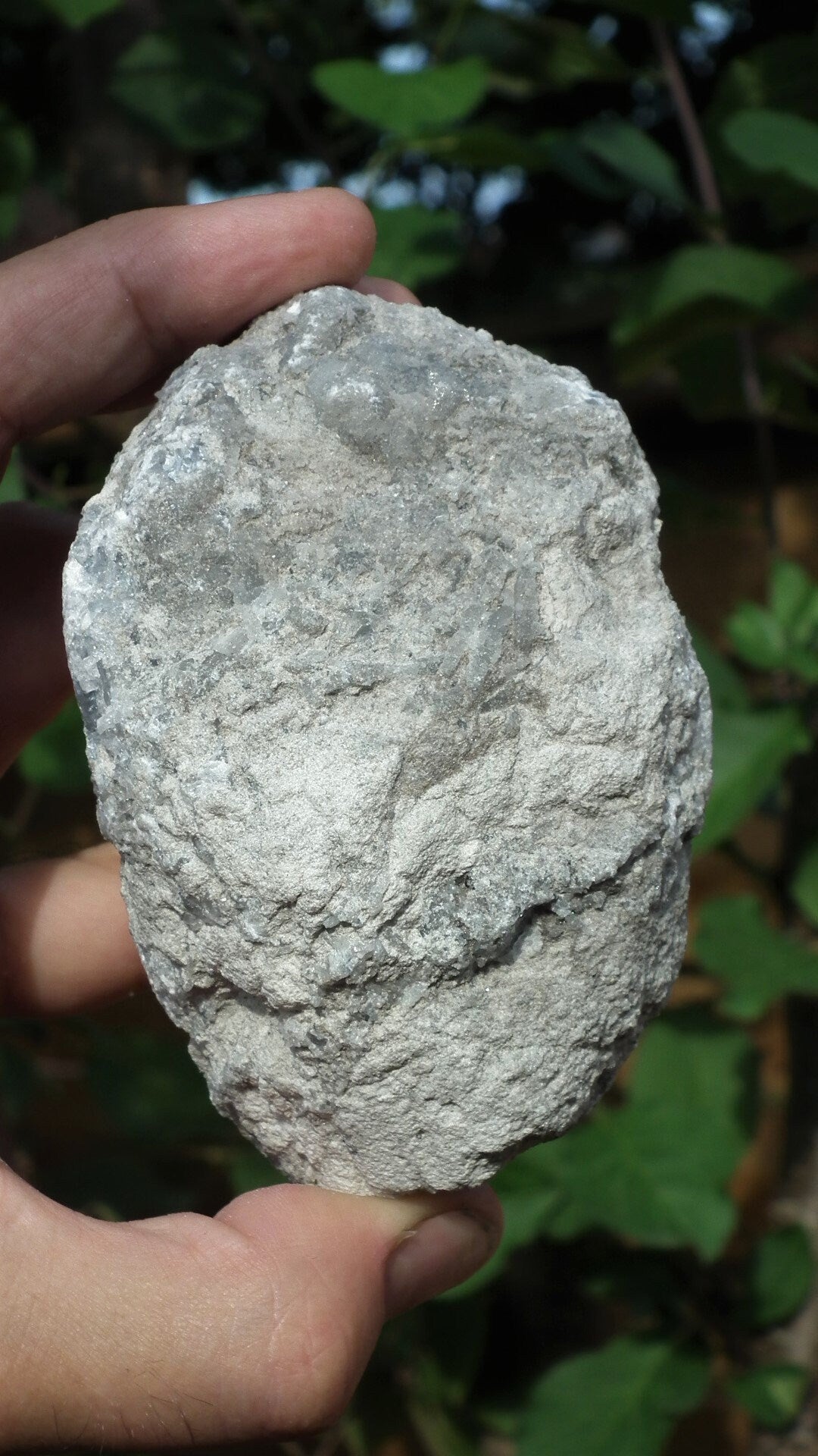 Celestite cluster / Celestite crystal / Celestite geode / Blue celestite