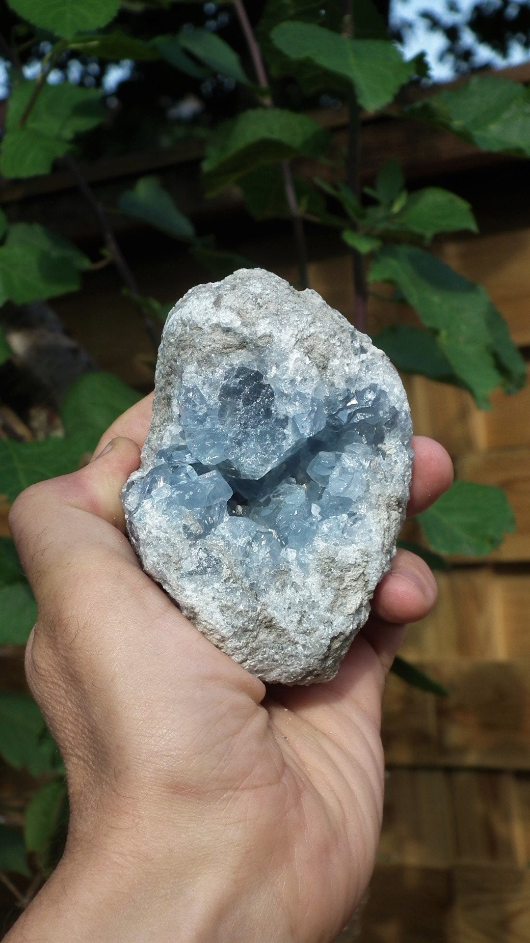 Celestite cluster / Celestite crystal / Celestite geode / Blue celestite