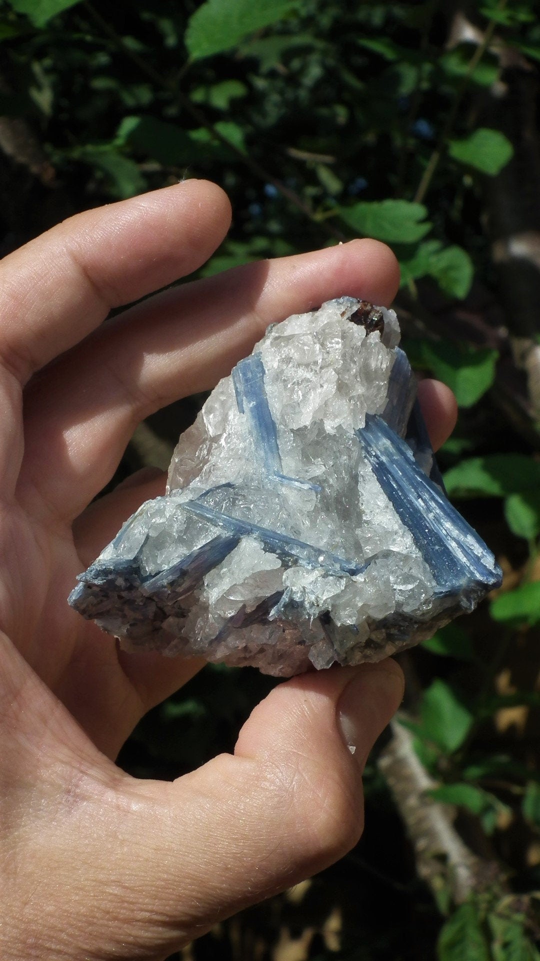 raw blue kyanite / large blue kyanite