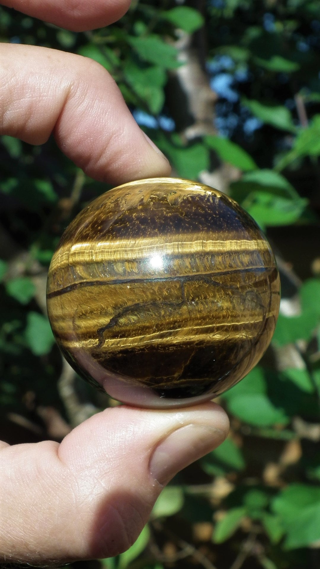 49mm Tiger eye sphere / ball / orb