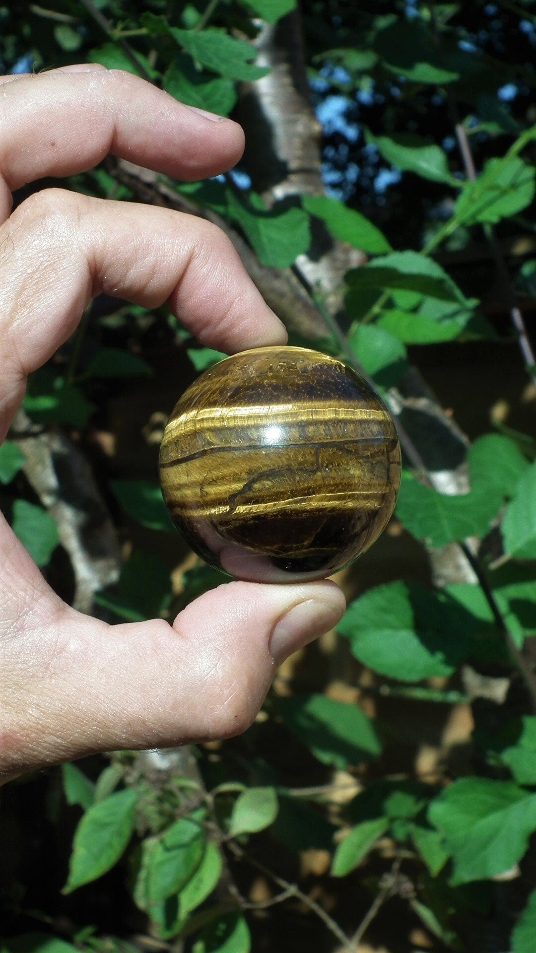 49mm Tiger eye sphere / ball / orb