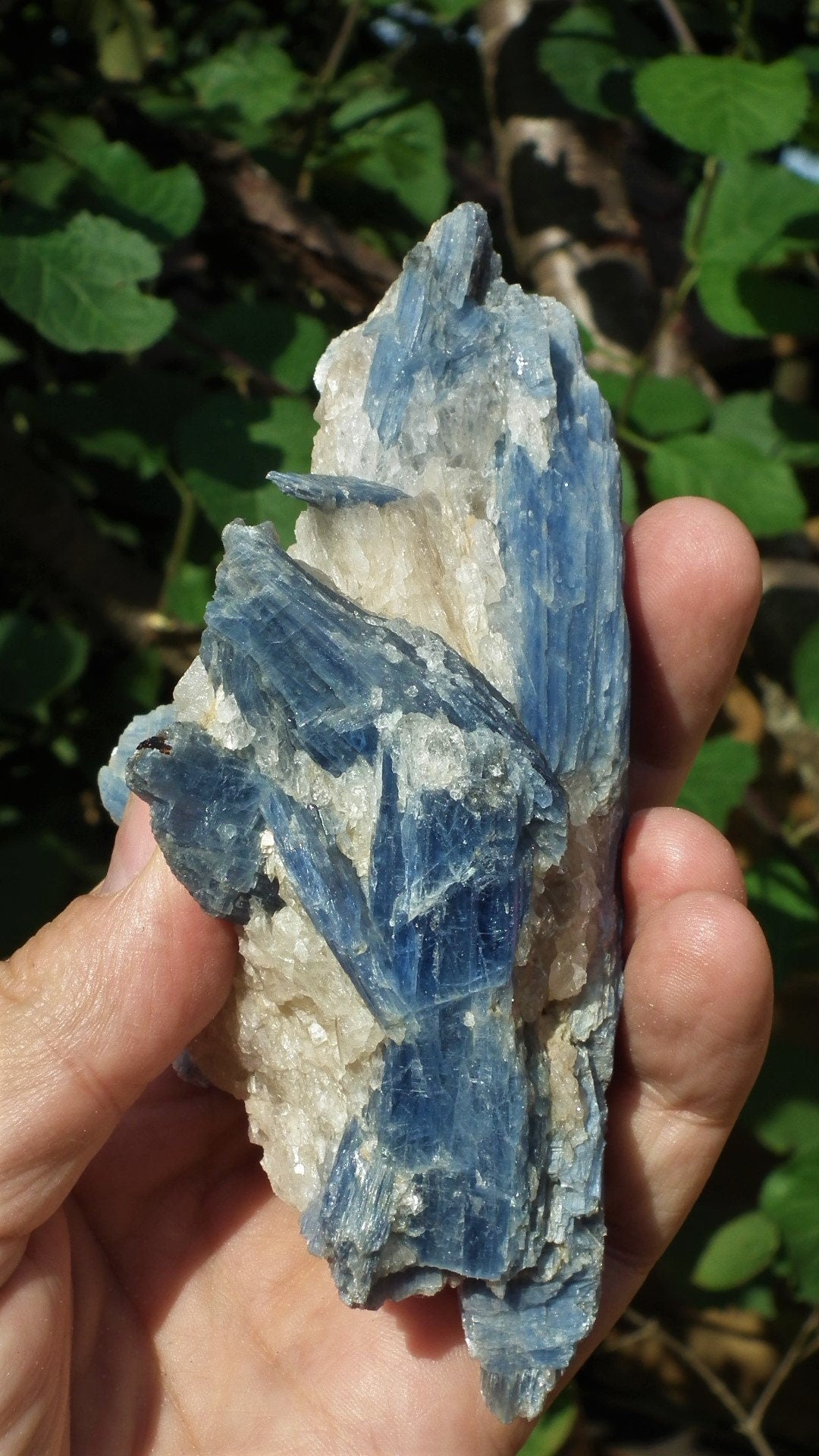 raw blue kyanite / large blue kyanite