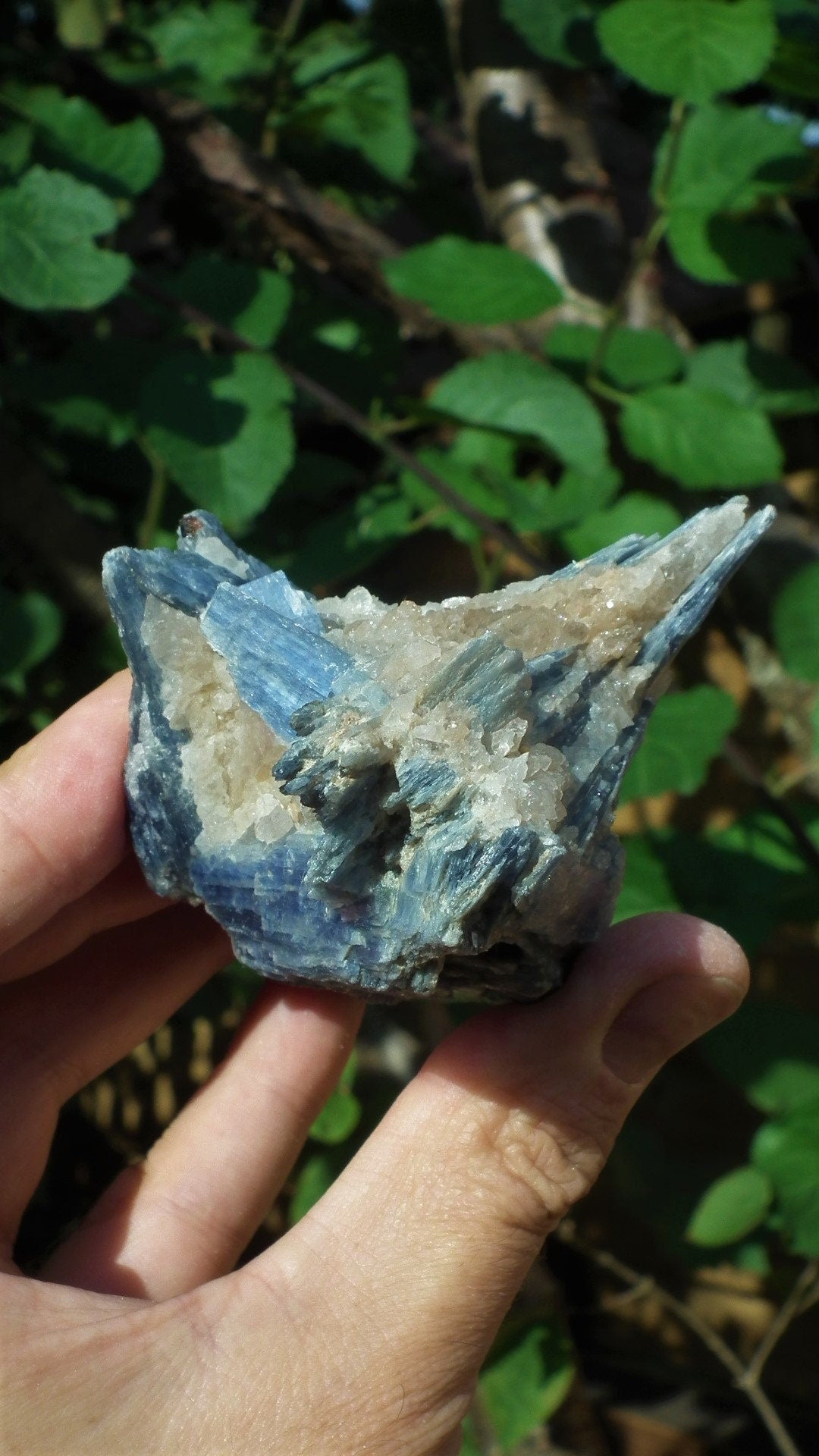 raw blue kyanite / large blue kyanite