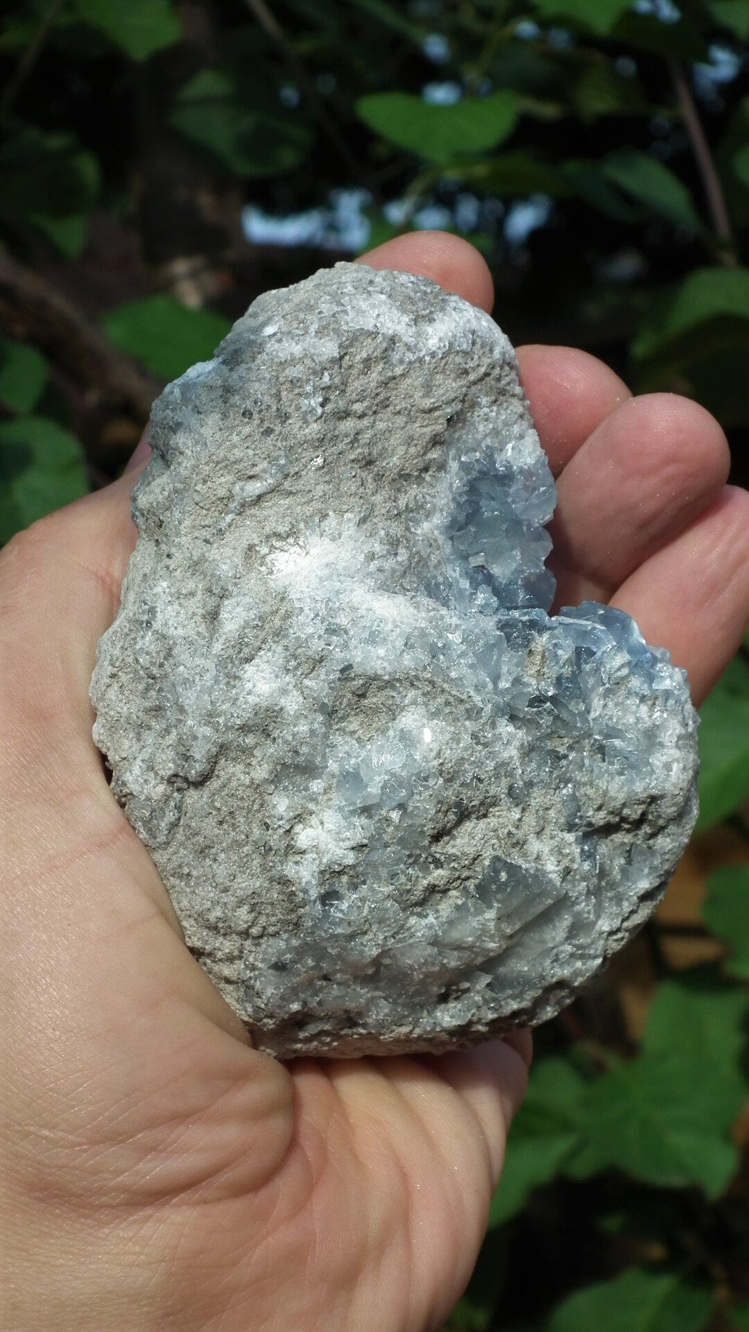 Celestite cluster / Celestite crystal / Celestite geode / Blue celestite