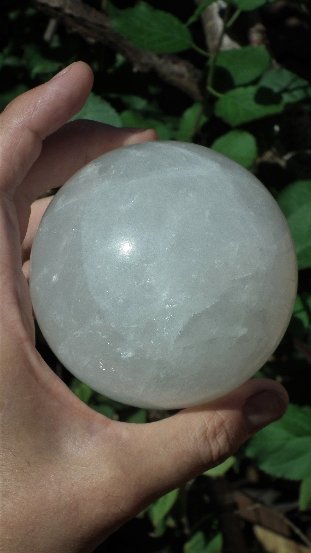 Golden Healer Sphere, XL Golden Healer, Yellow Hematoid