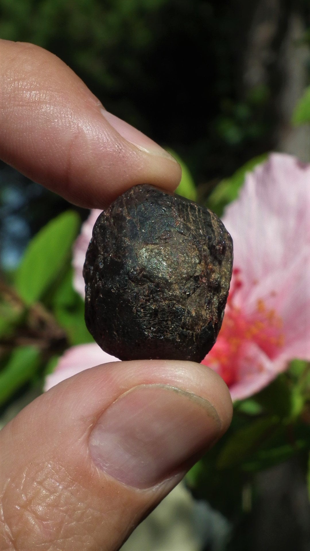 Garnet crystal // Raw garnet // Garnet Stone