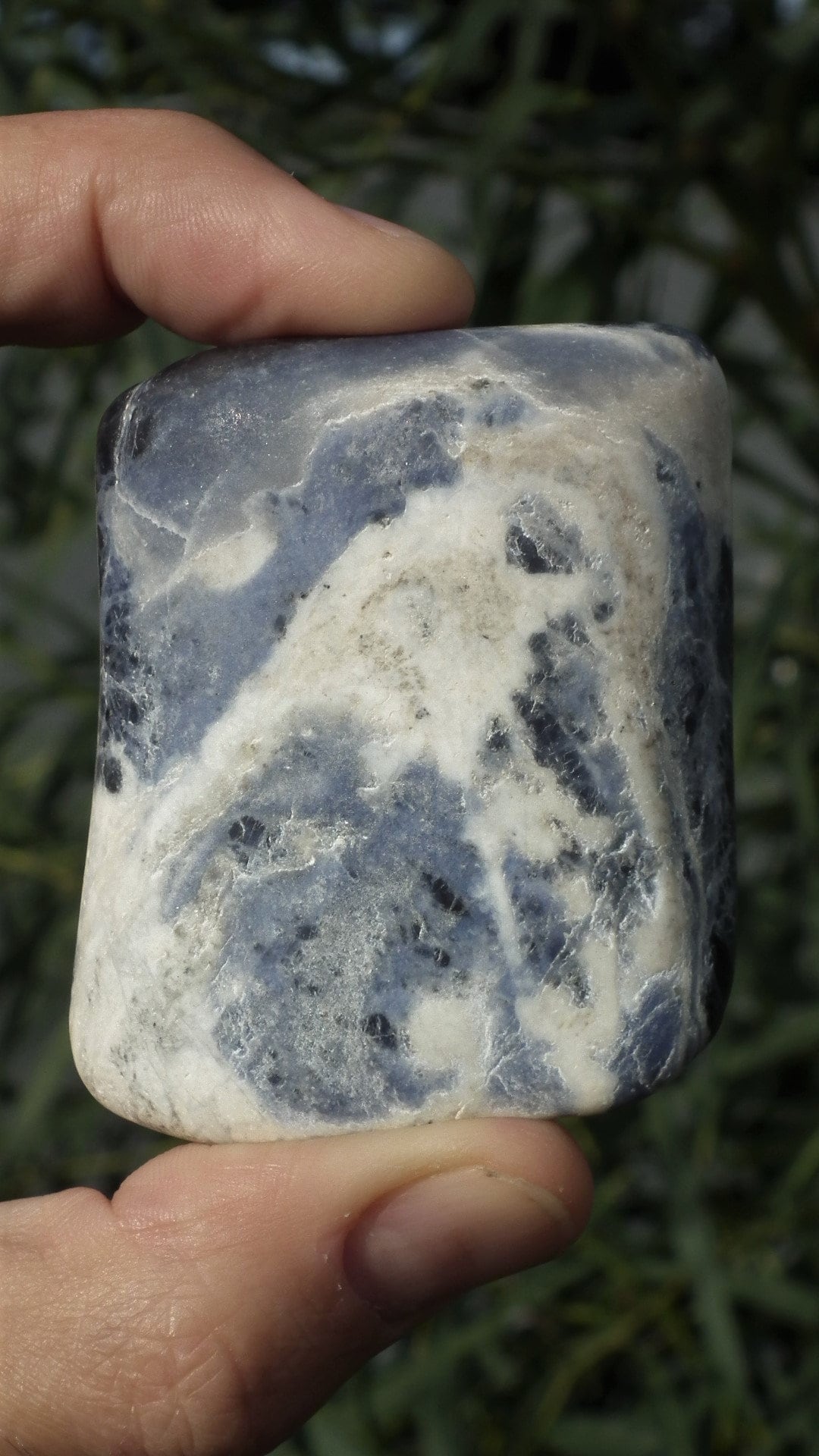 Large Dark Blue Sodalite Freeform / Sculpture