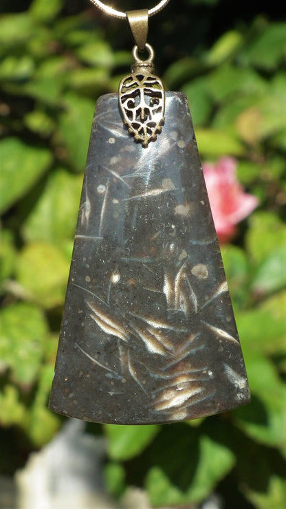 Feather Agate pendant with bronze bail