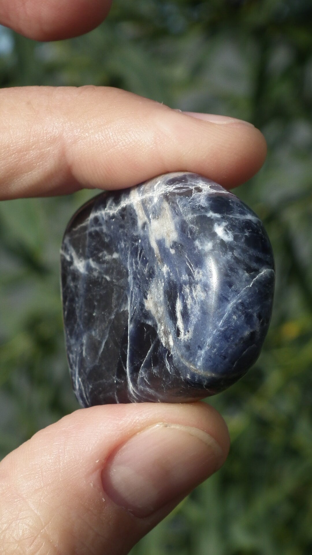 Blue sodalite Freeform / Sculpture / Palm piece