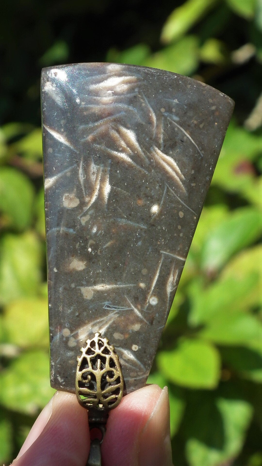 Feather Agate pendant with bronze bail