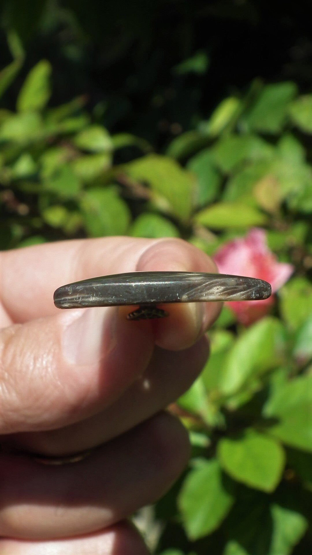 Feather Agate pendant with bronze bail