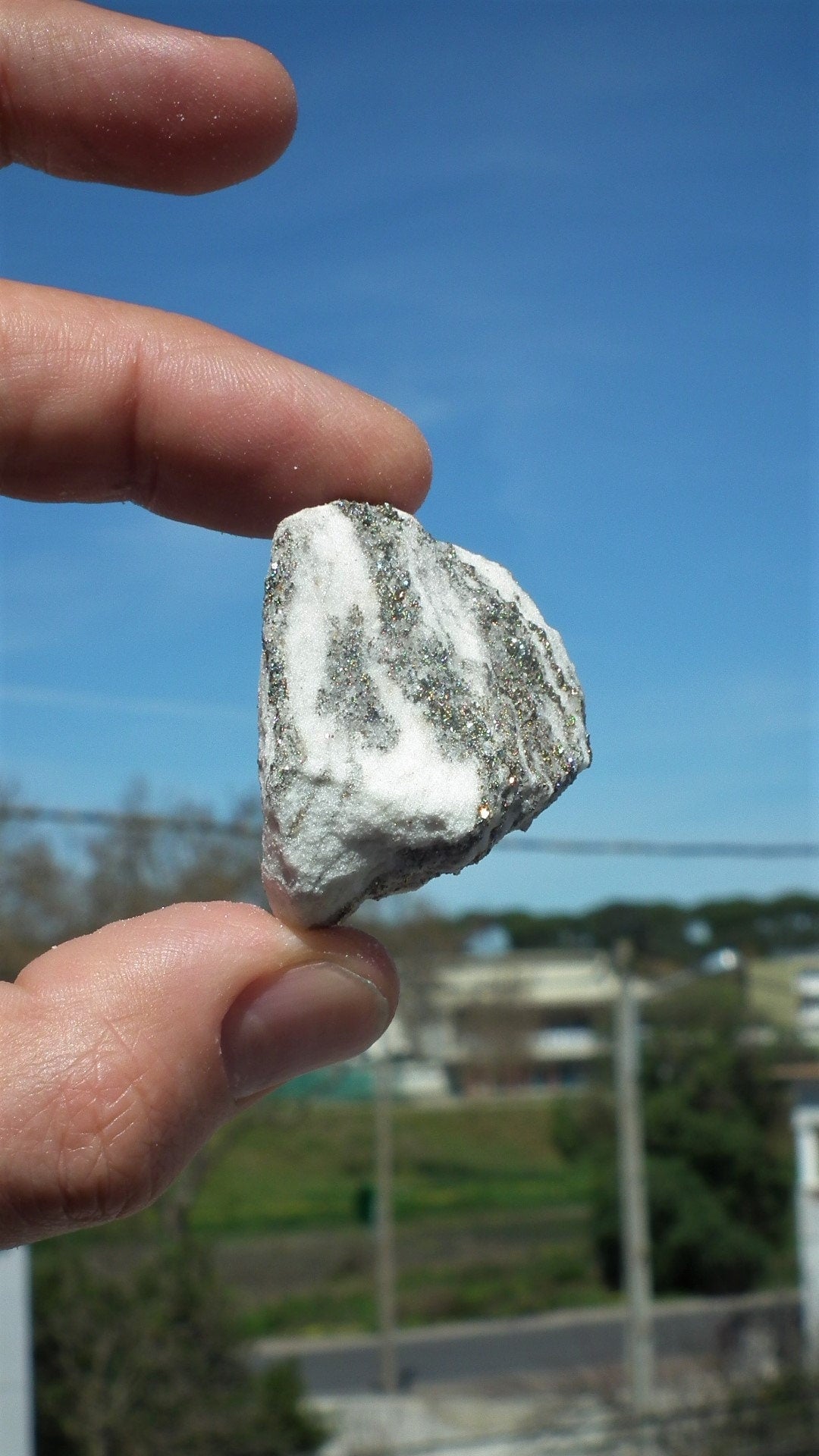 Pyrite in Snow Dolomite