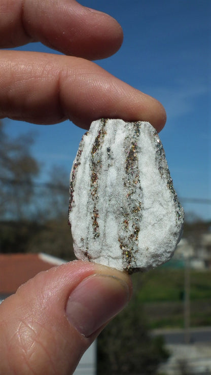 Pyrite in Snow Dolomite