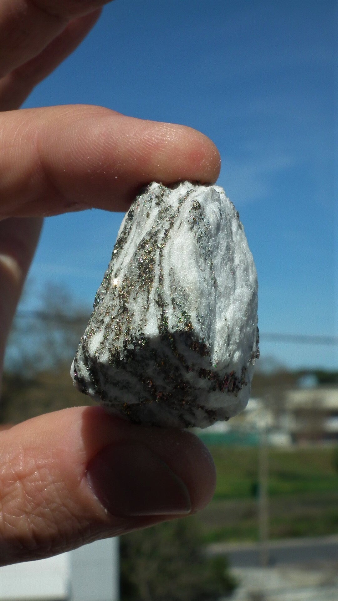 Pyrite in Snow Dolomite