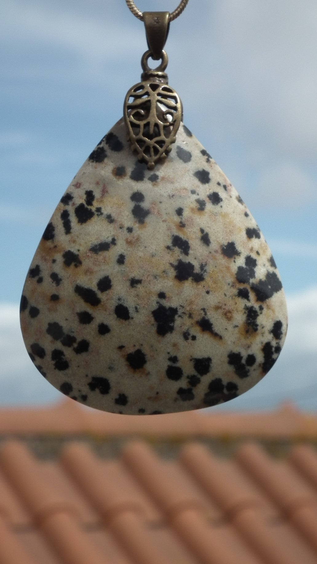 Dalmatian jasper necklace with bronze bail