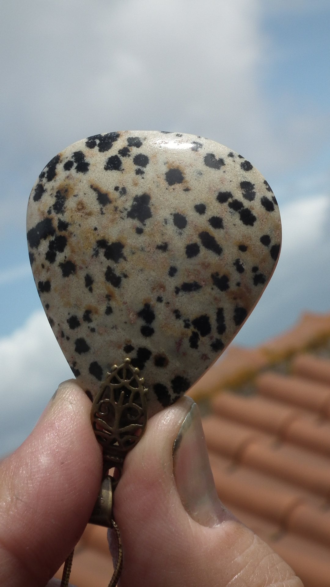 Dalmatian jasper necklace with bronze bail