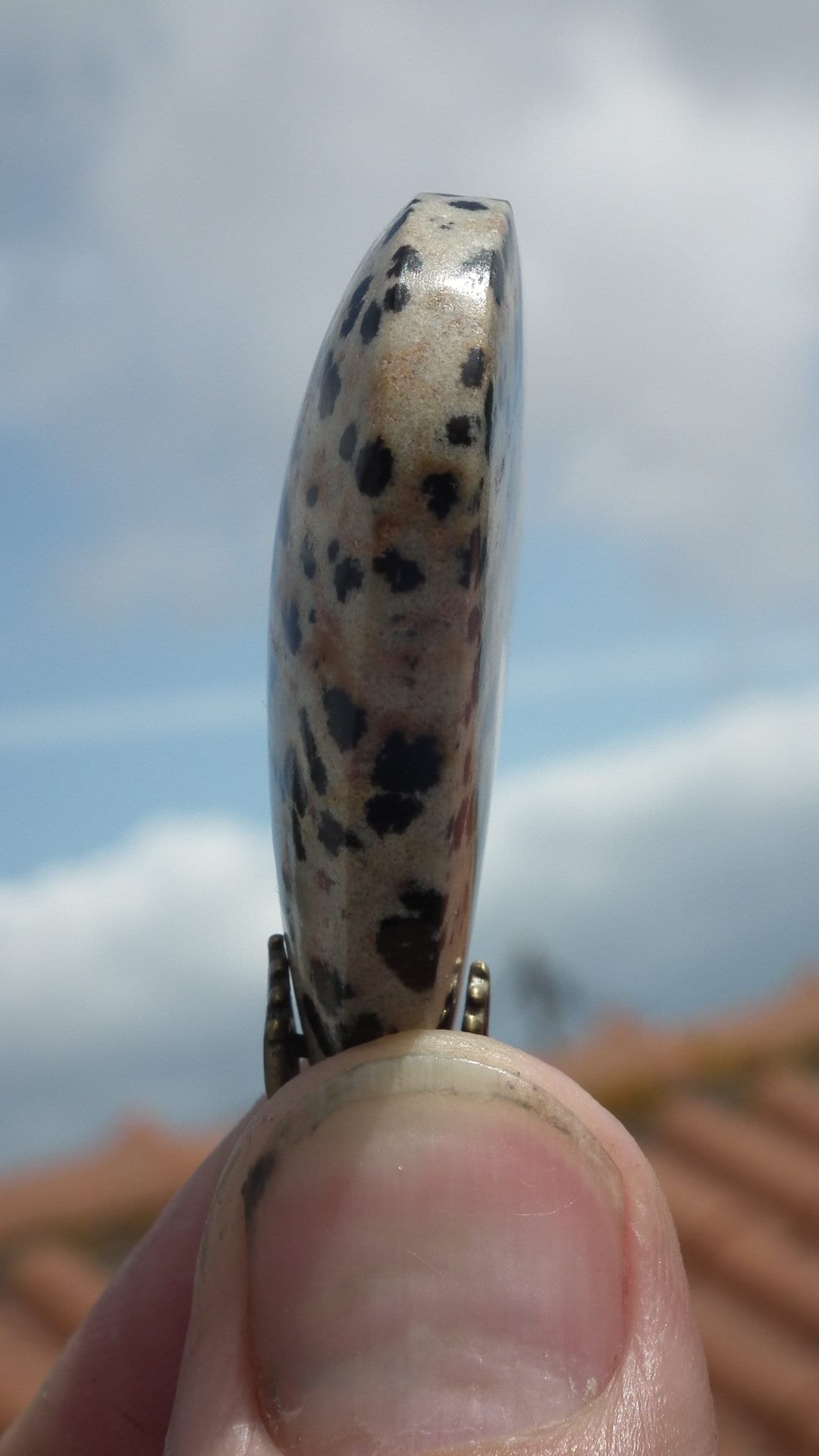 Dalmatian jasper necklace with bronze bail