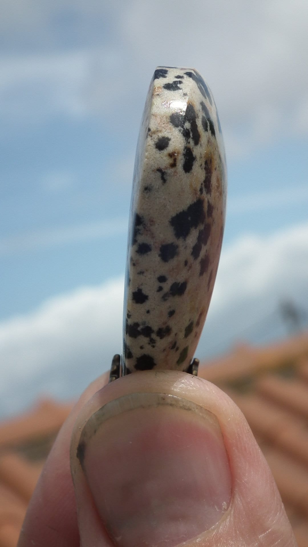 Dalmatian jasper necklace with bronze bail