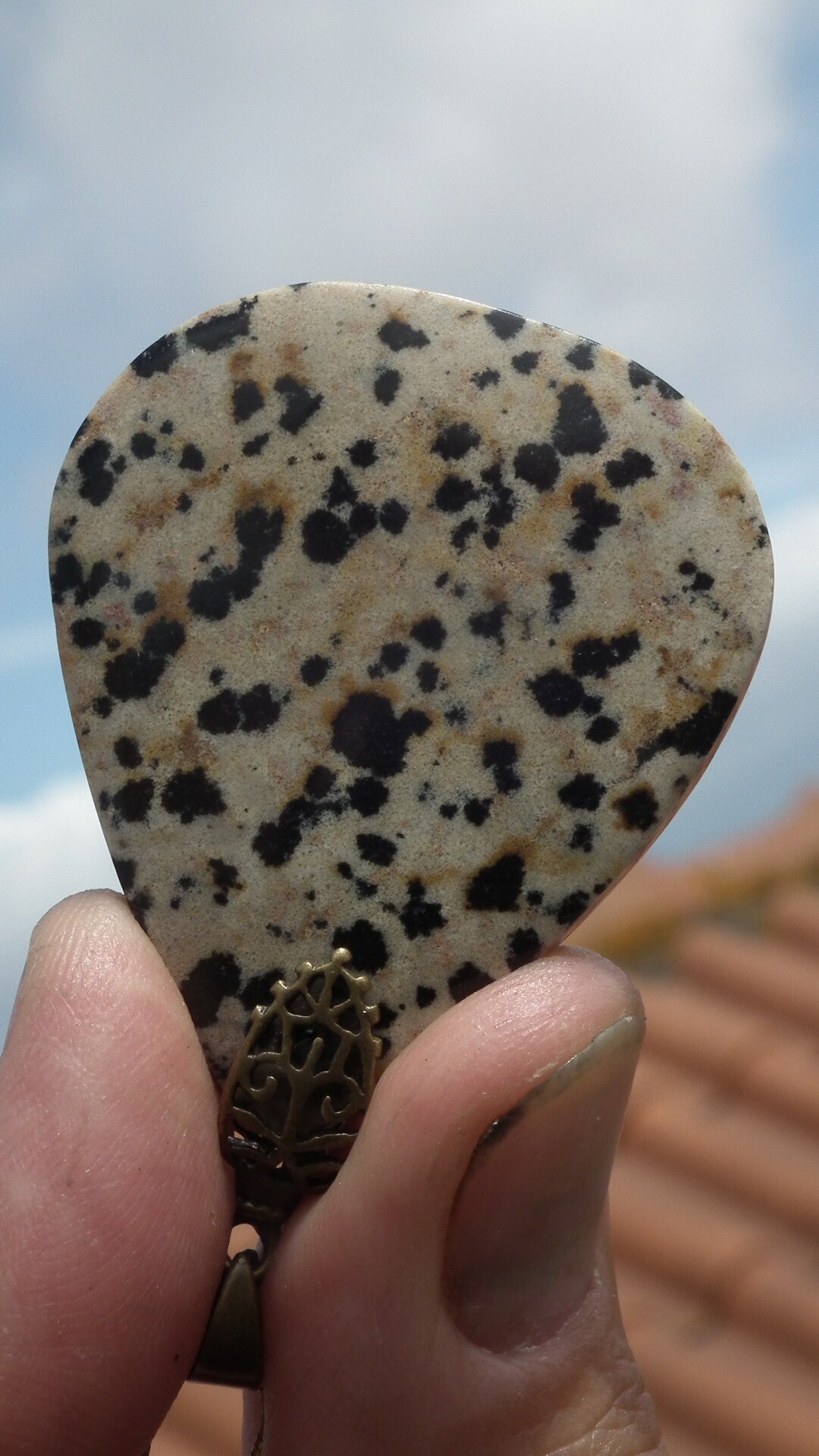 Dalmatian jasper necklace with bronze bail