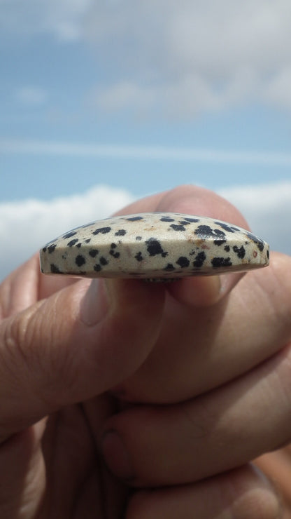 Dalmatian jasper necklace with bronze bail