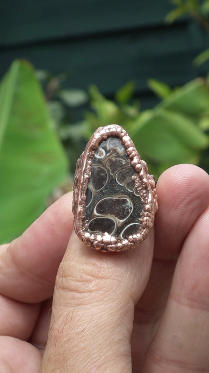Electroformed Copper Turritella agate ring