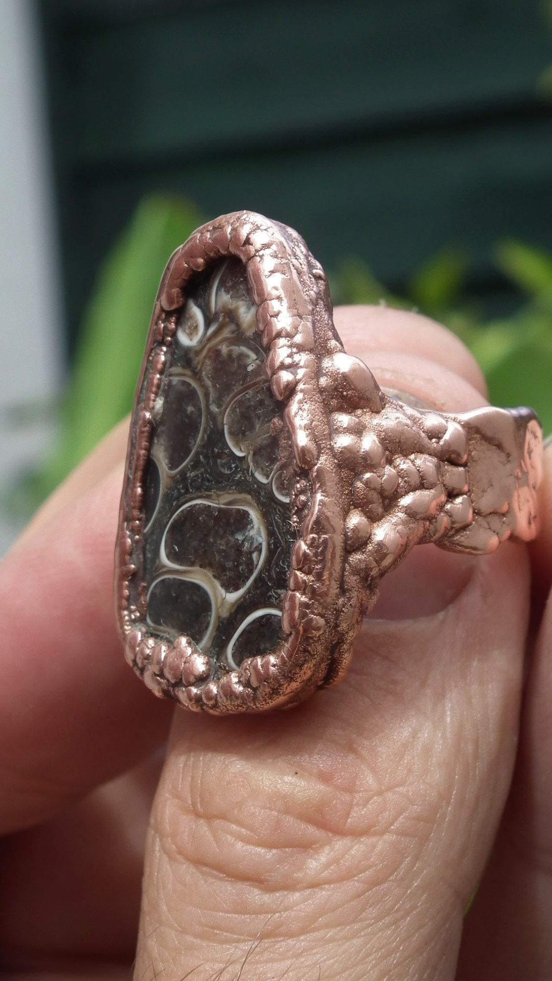 Electroformed Copper Turritella agate ring