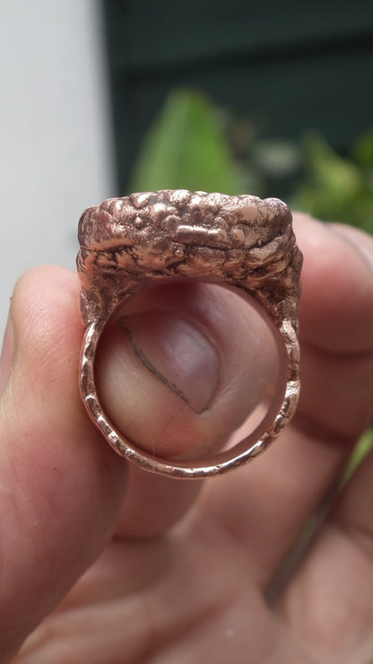 Electroformed Copper Turritella agate ring
