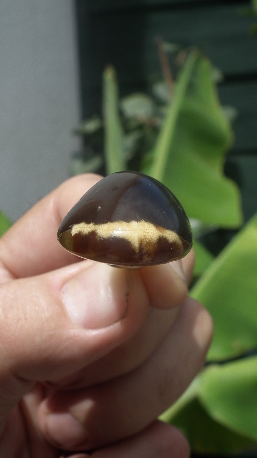 Big Sumatra amber pendant