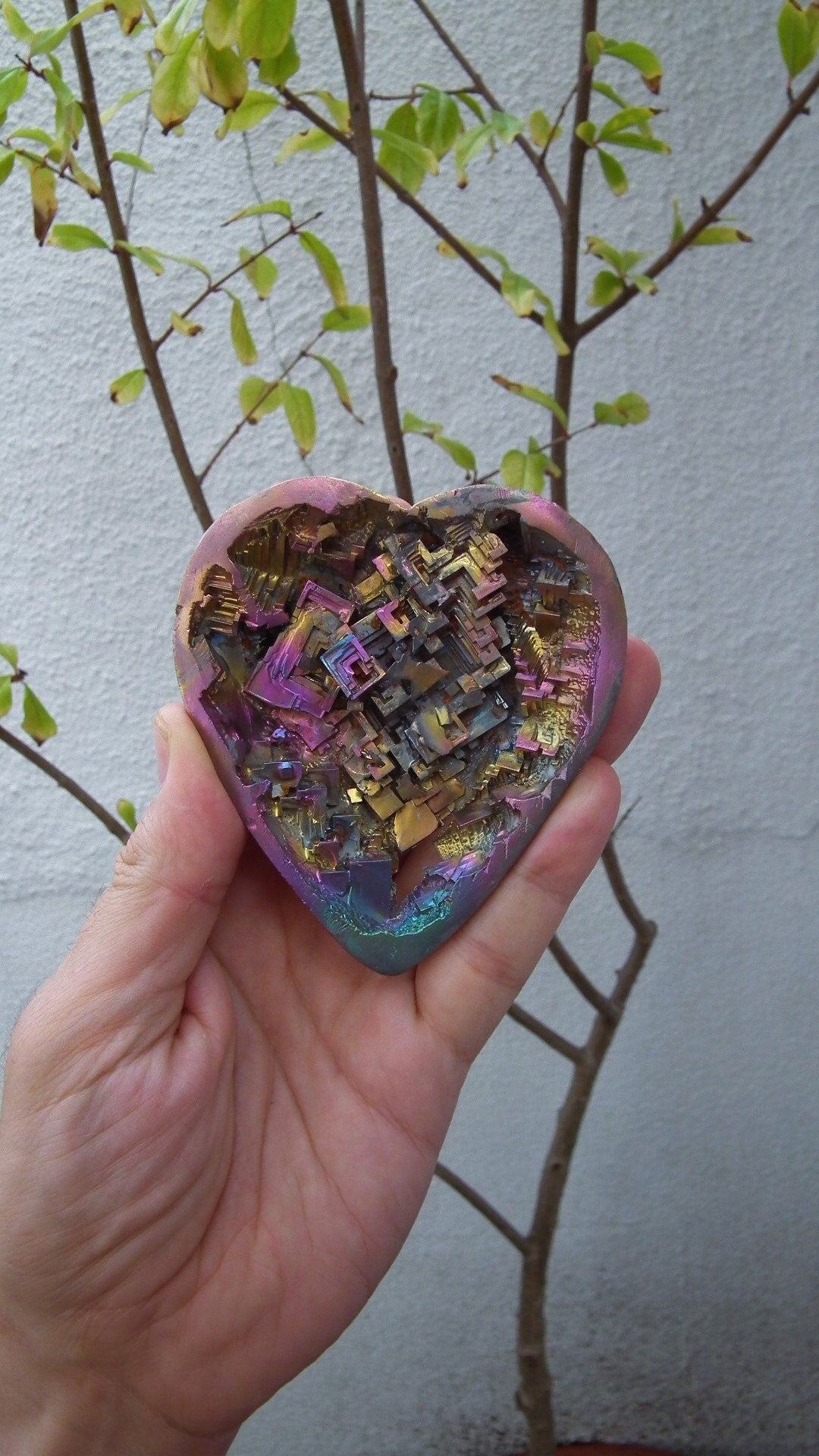 Bismuth crystal Heart