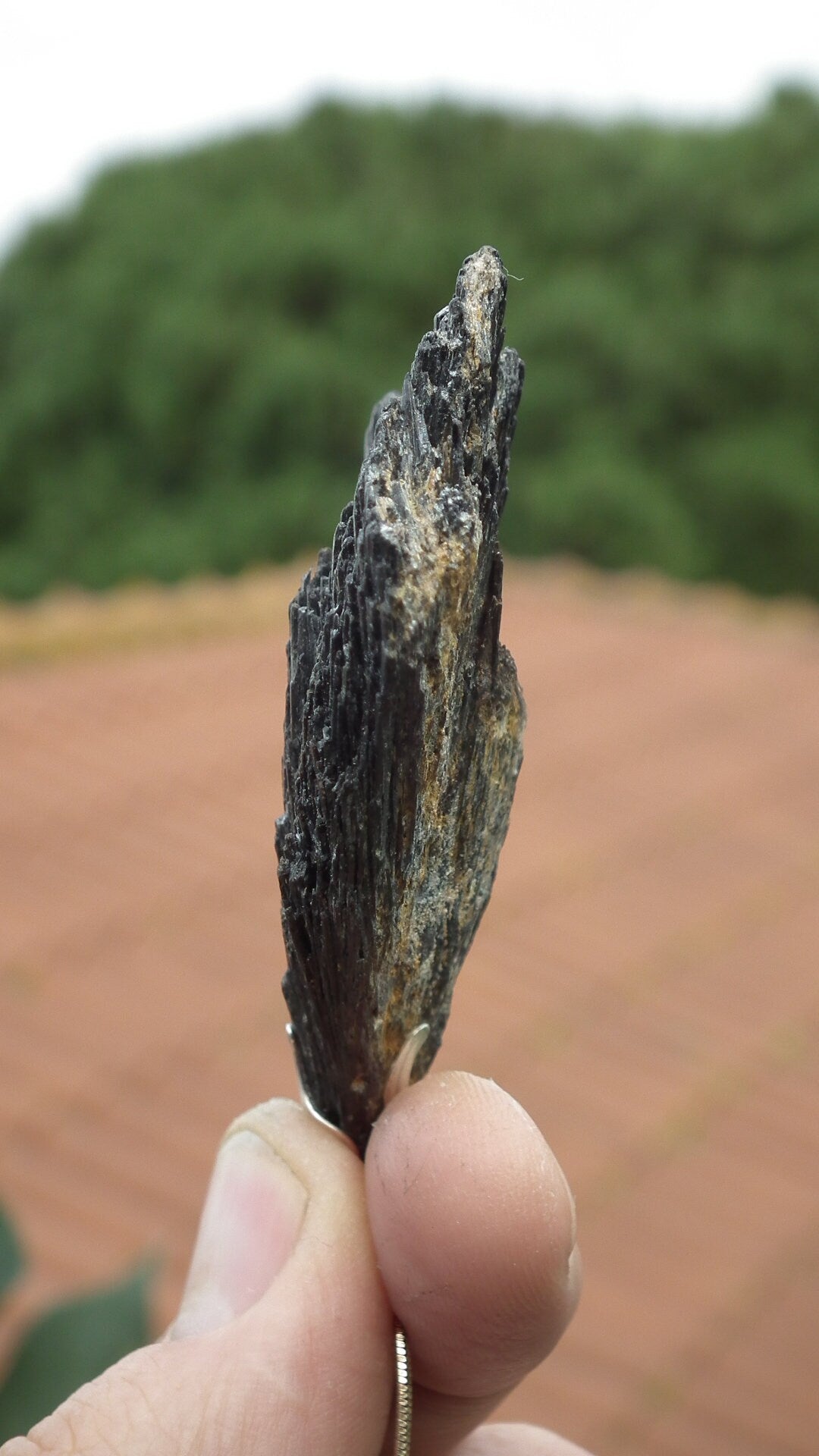 Black Kyanite pendant