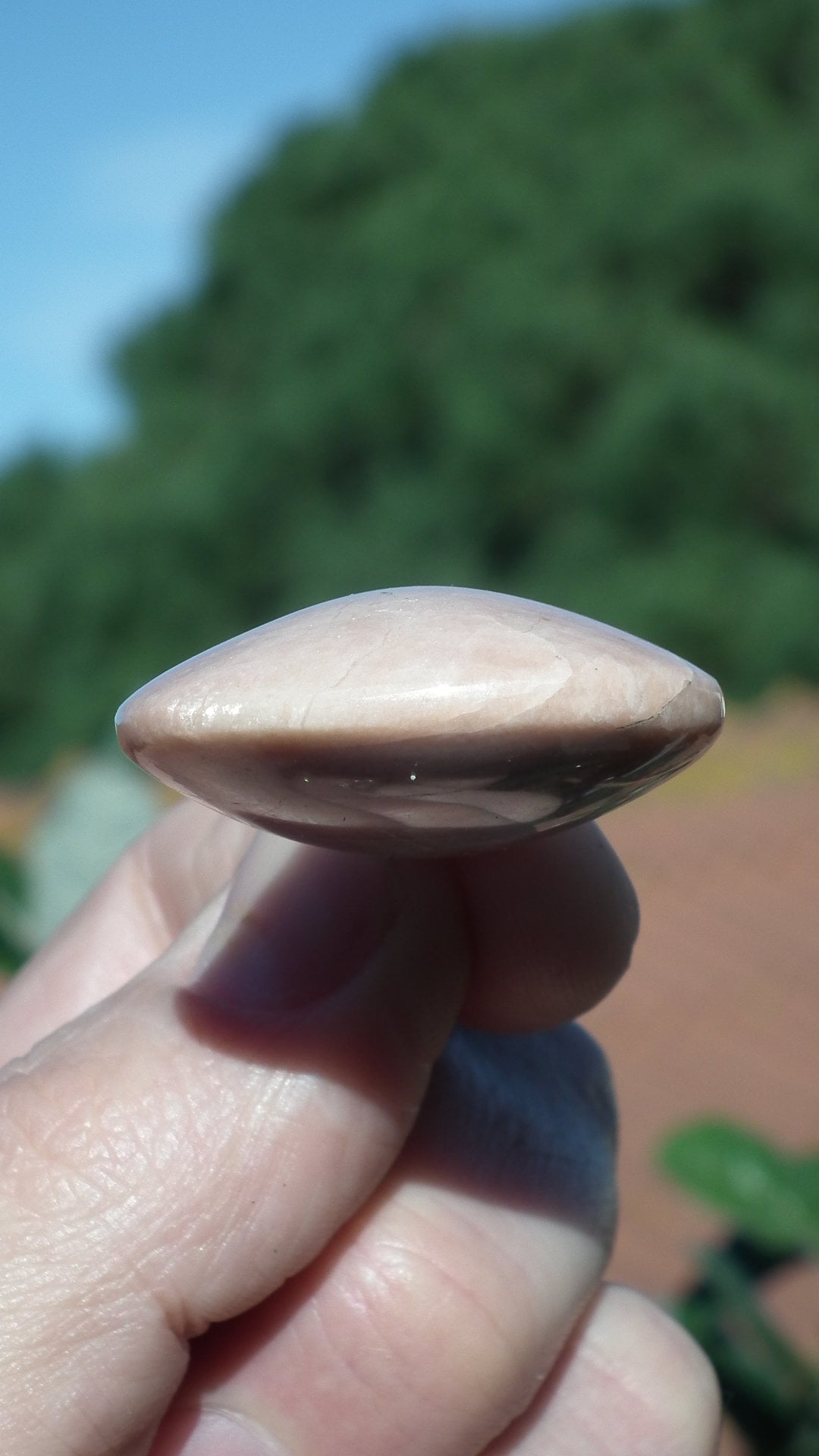 Peach moonstone necklace with silverplated bail