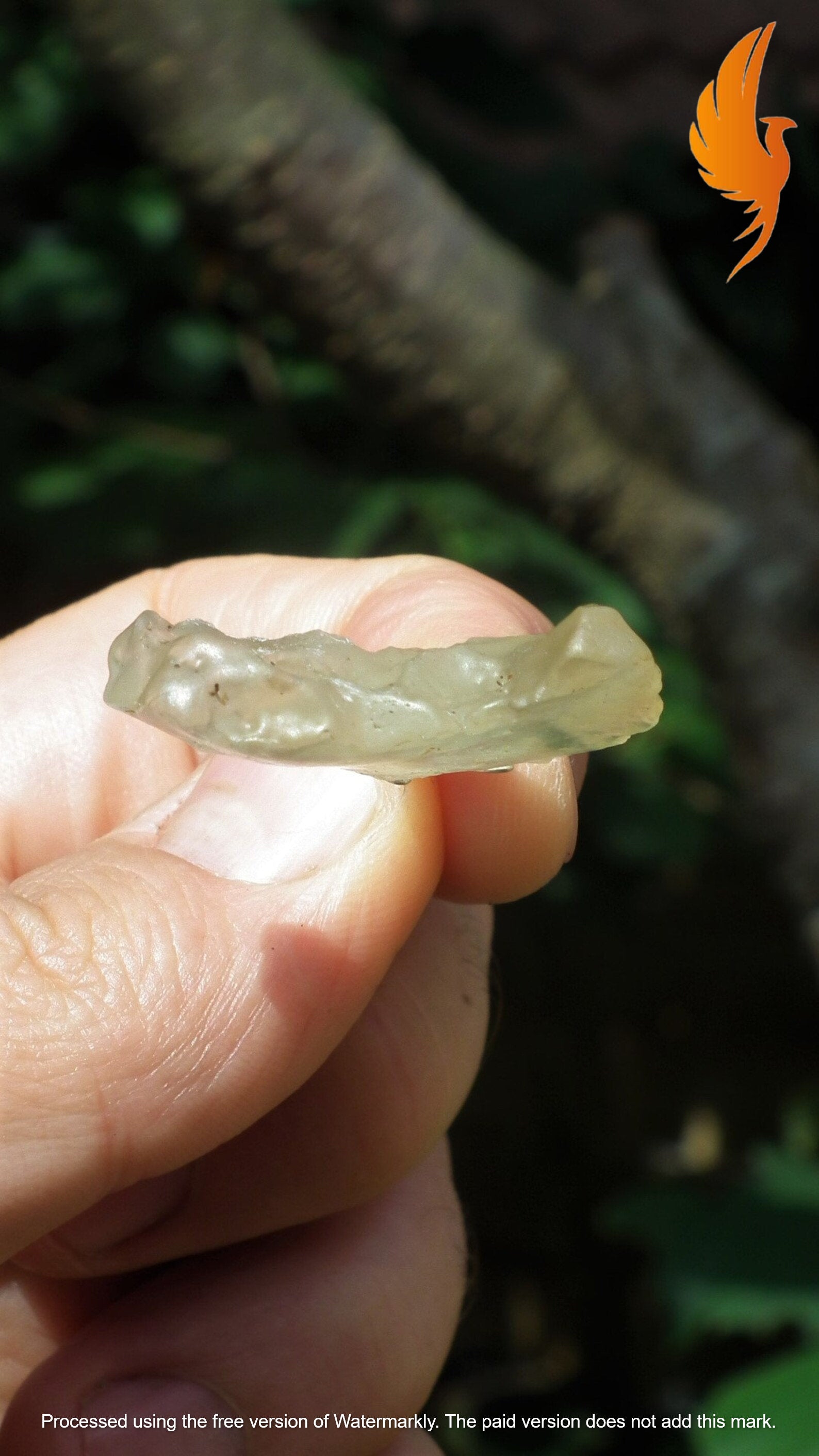 Libyan desert glass necklace