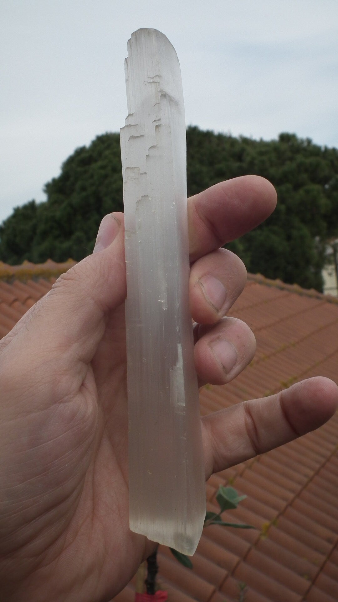 Selenite crystal // Selenite slab // Raw selenite