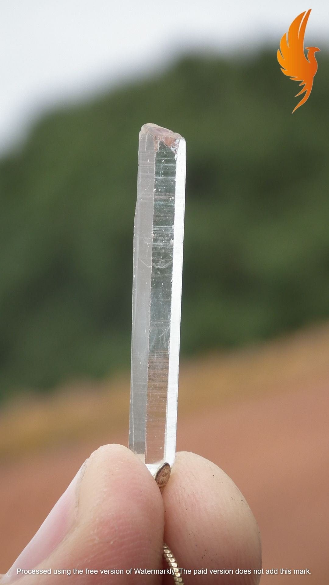 Lemurian Quartz pendant from Brazil
