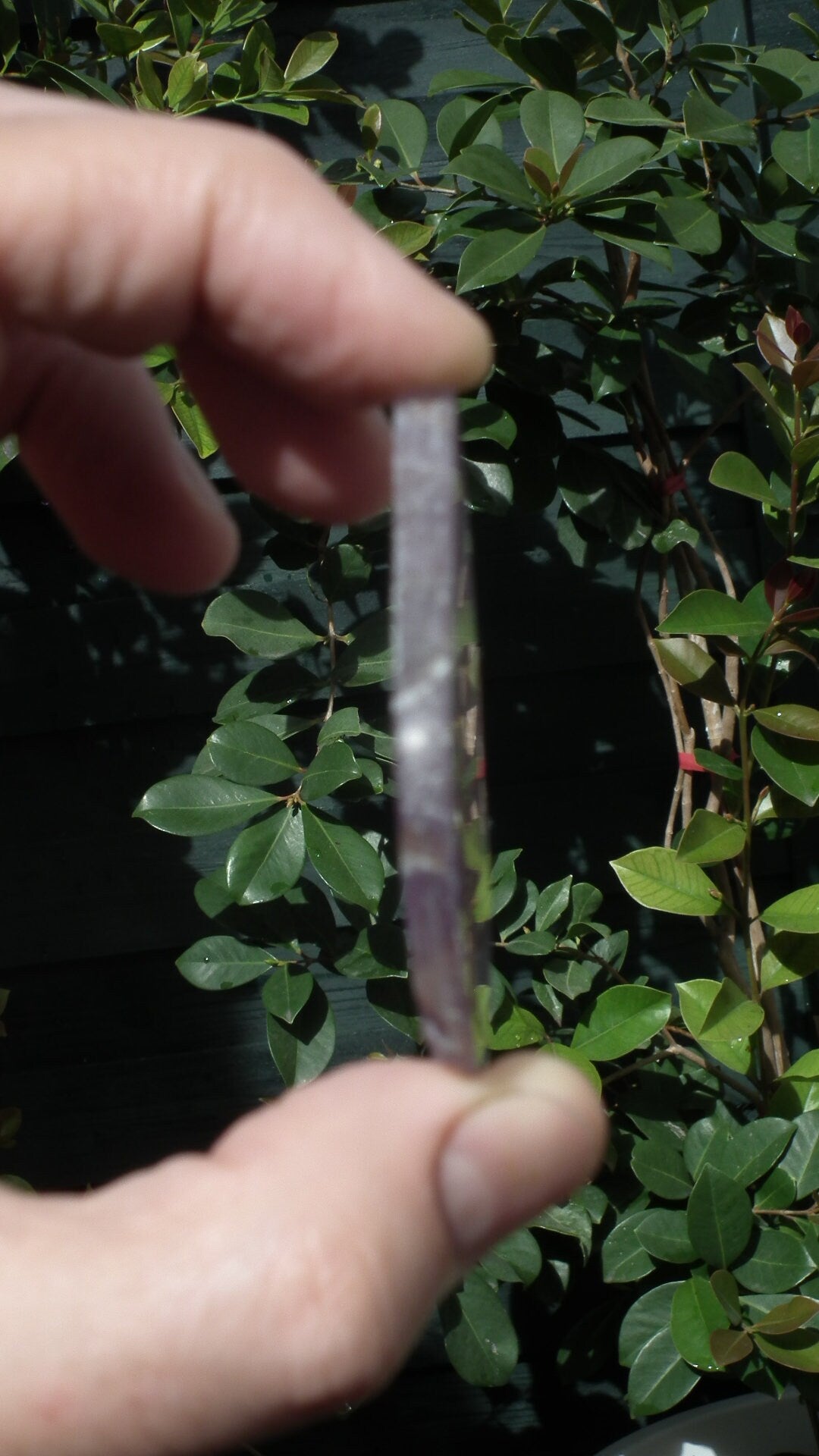 Rainbow Fluorite Slab