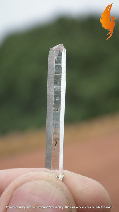 Lemurian Quartz pendant from Brazil