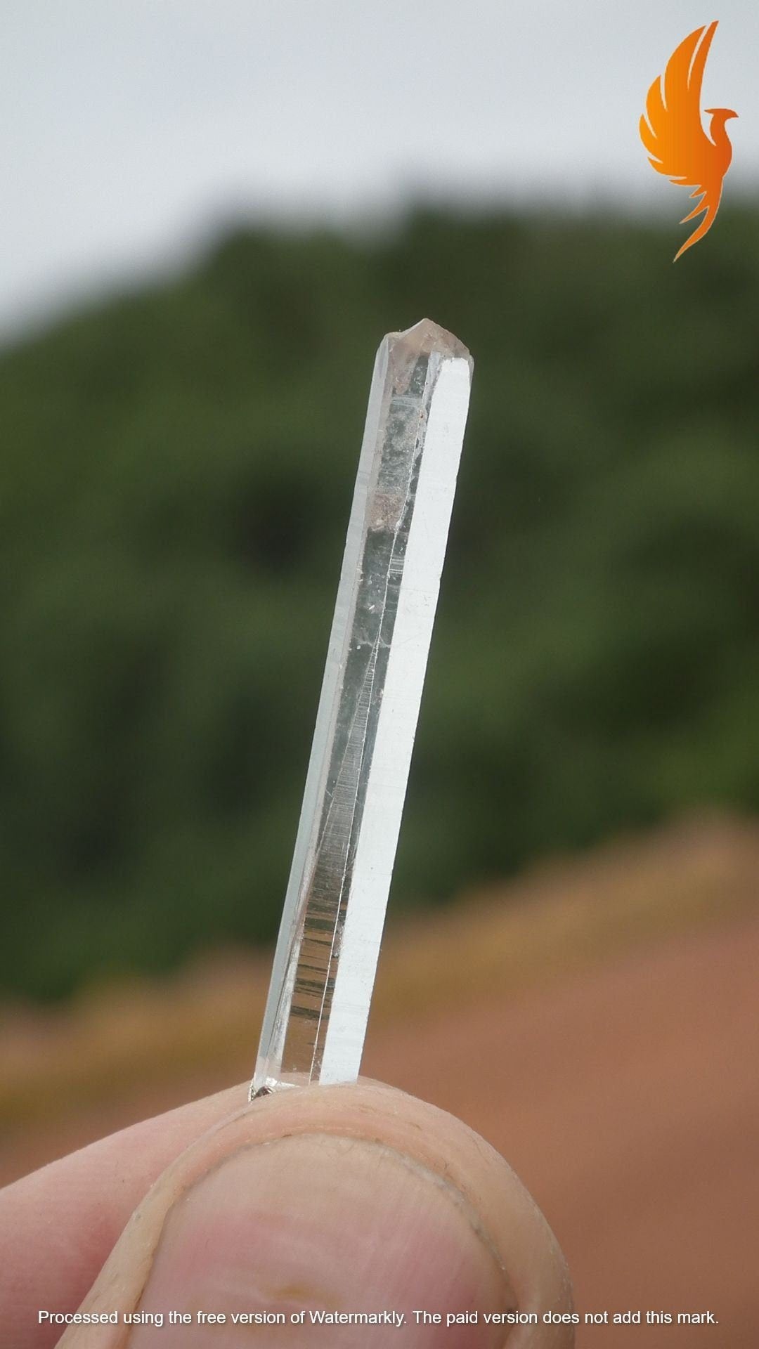 Lemurian Quartz pendant from Brazil