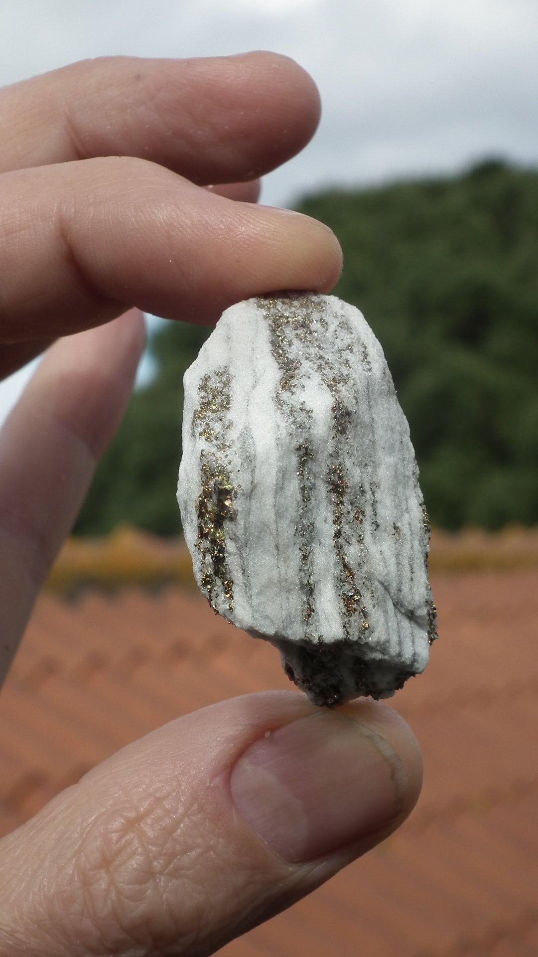 Pyrite in Snow Dolomite