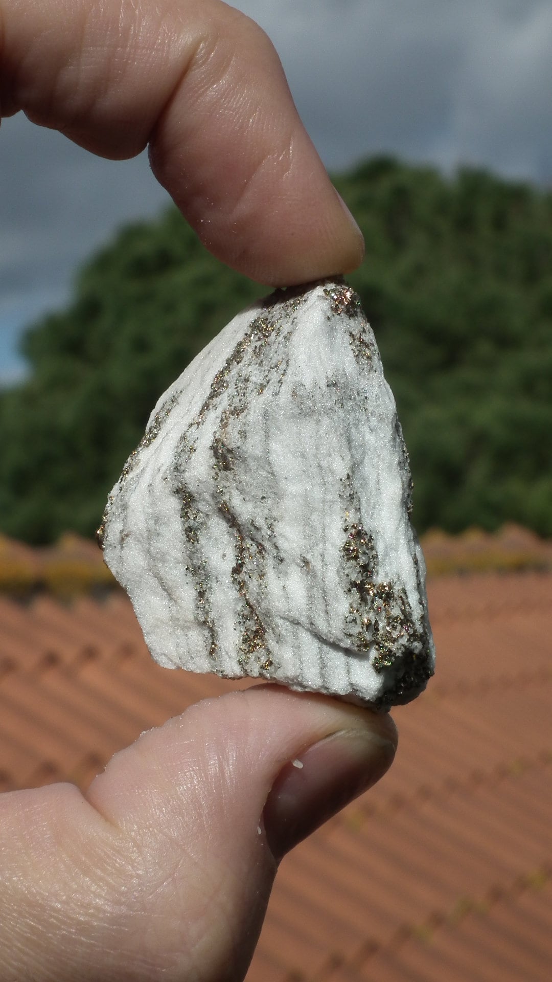 Pyrite in Snow Dolomite