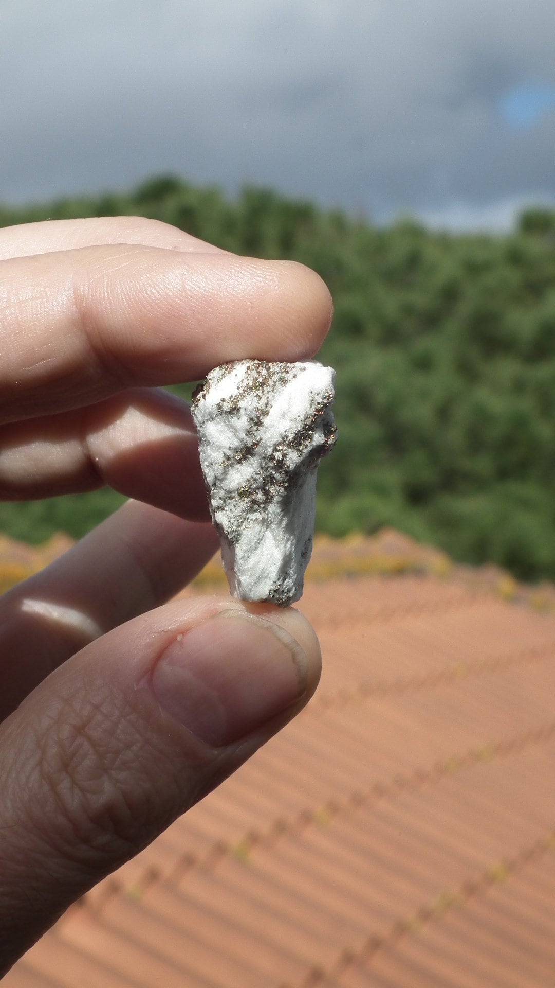 Pyrite in Snow Dolomite