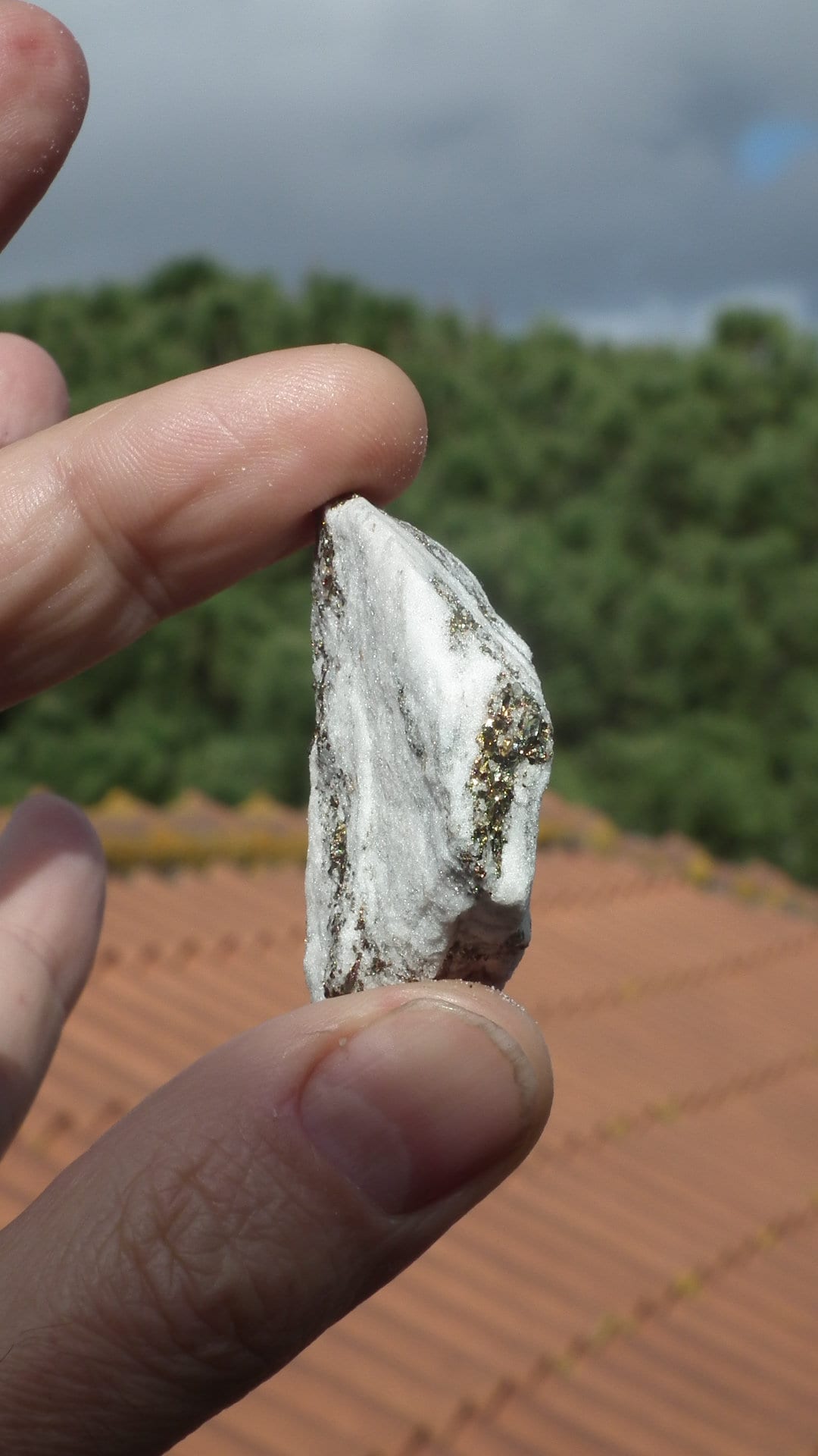 Pyrite in Snow Dolomite